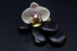 Heizwelle Bildmotive
